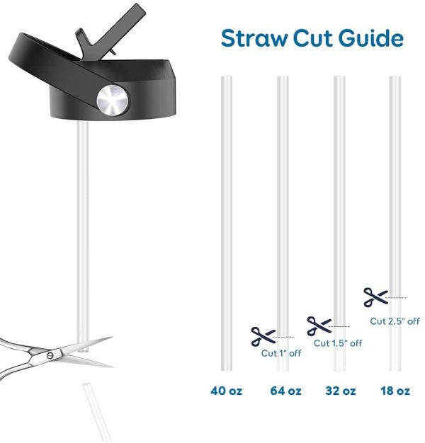 Replacement BPA Free Straws For All Buzio Bottles - Image 3